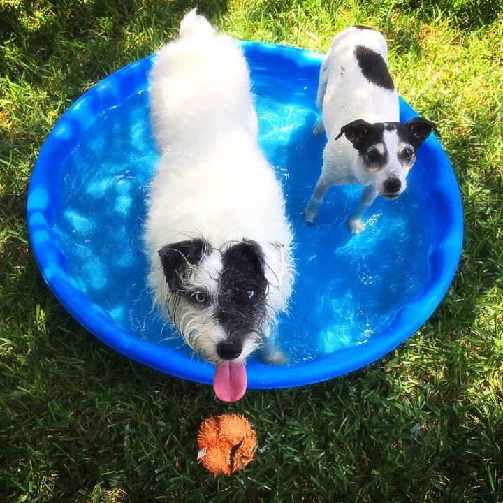 3e157fe7 42bf 4fa5 81e7 8779a2db3e8d