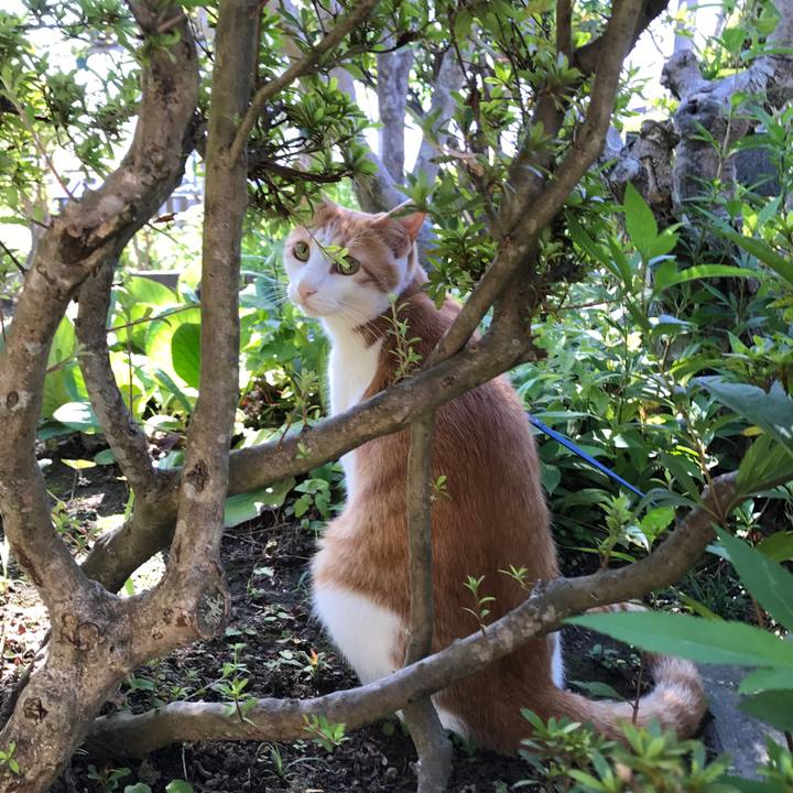 3e15a084 556b 4c12 a11e 06203a9a94d3