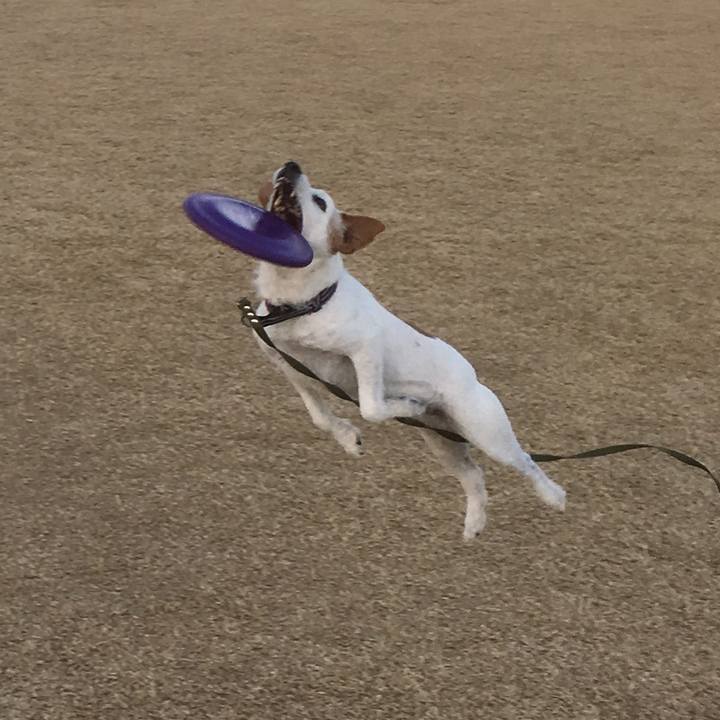 3e15a787 de83 4790 95cd b1738d7c3448