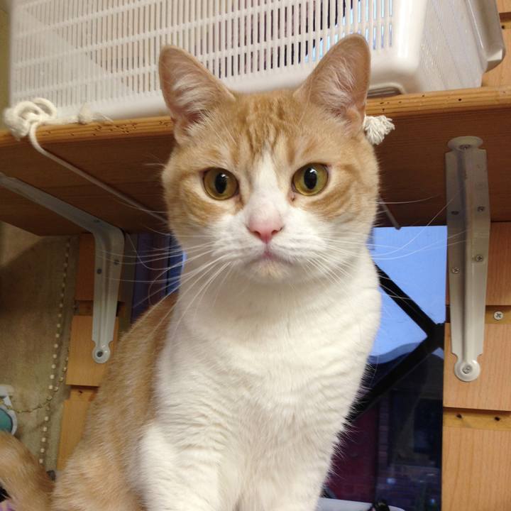 3e15e575 30c3 4b57 bb53 e19a33d06c8f