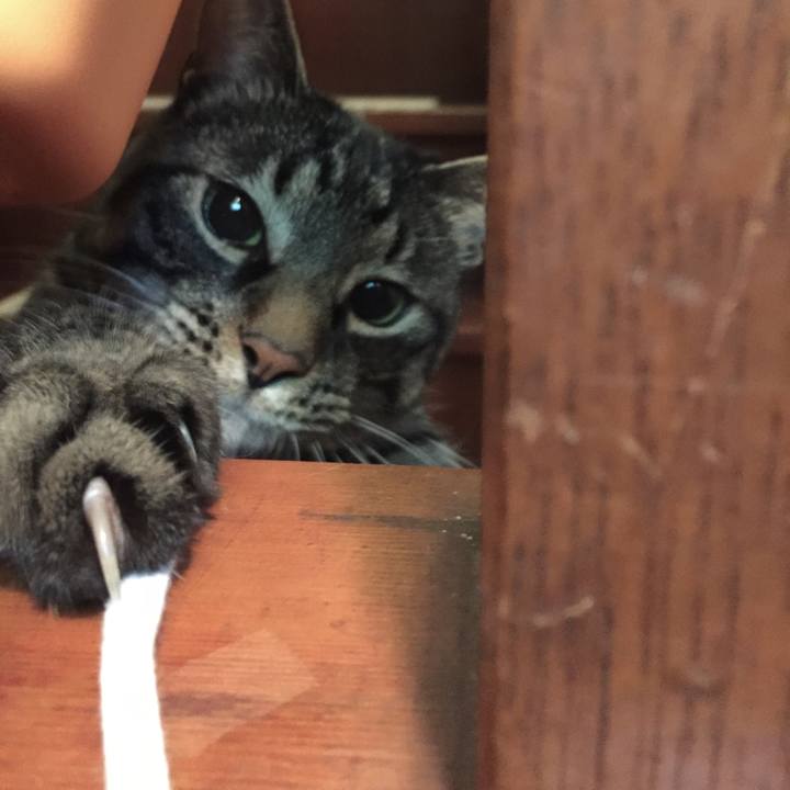 3e17d511 7ae2 44c5 81bc 69a58f80662f