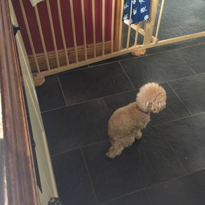 3e188e69 54b1 4711 8c2c f2127d3738f1