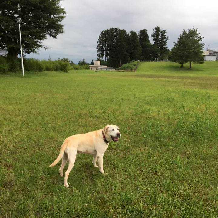 3e190fa5 5313 4ddb bdc6 c617f1cd789e