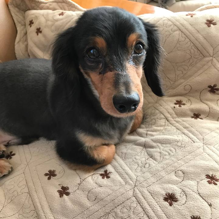 3e191633 3ba4 442c b162 752dd1a7acea