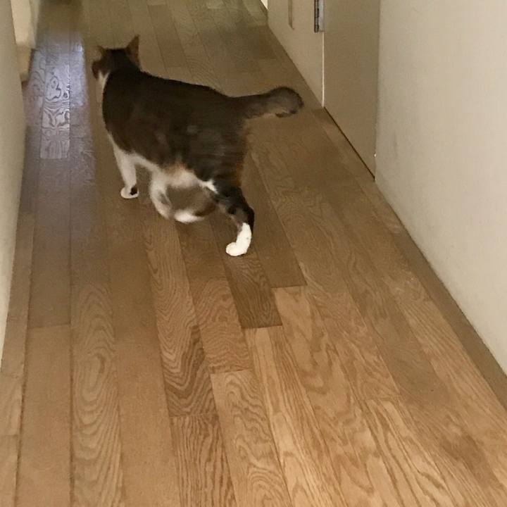 3e192a51 c8aa 493c bf6e 1dc443139ee6