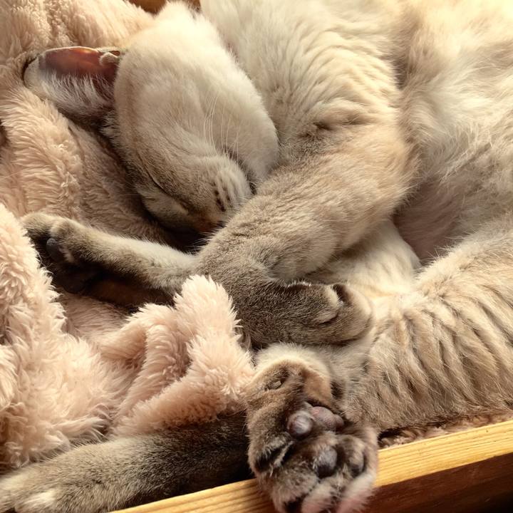 3e1a5075 e01d 4066 a23b c749f479e7d4