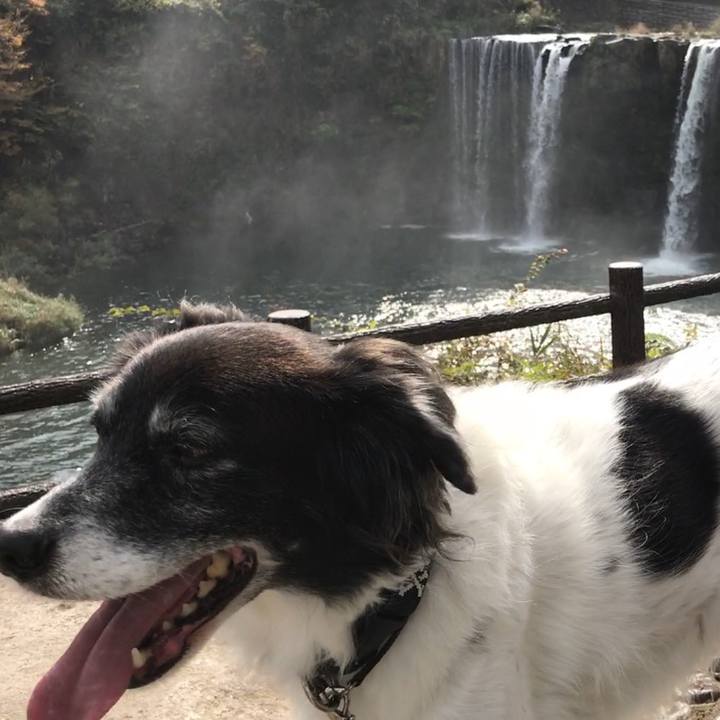 3e1a5a18 705e 4834 9ce4 16061d2cea18