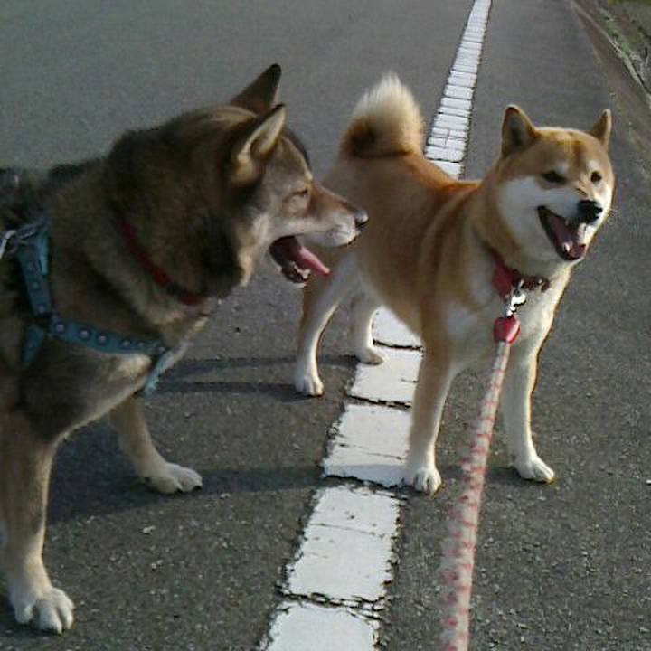 3e1a85c4 144e 48ad a9e4 05d6933d0bbd