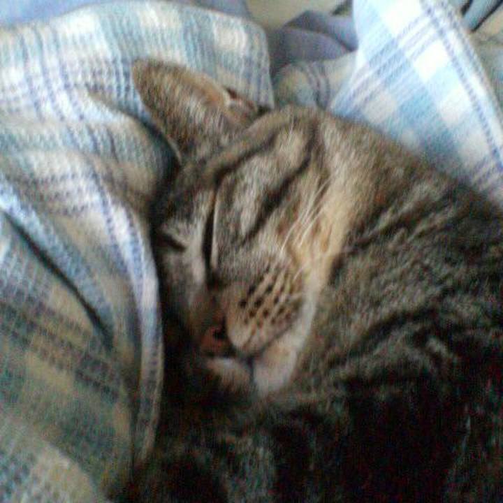 3e1aaade daa3 4ea6 900a 946e064eadba