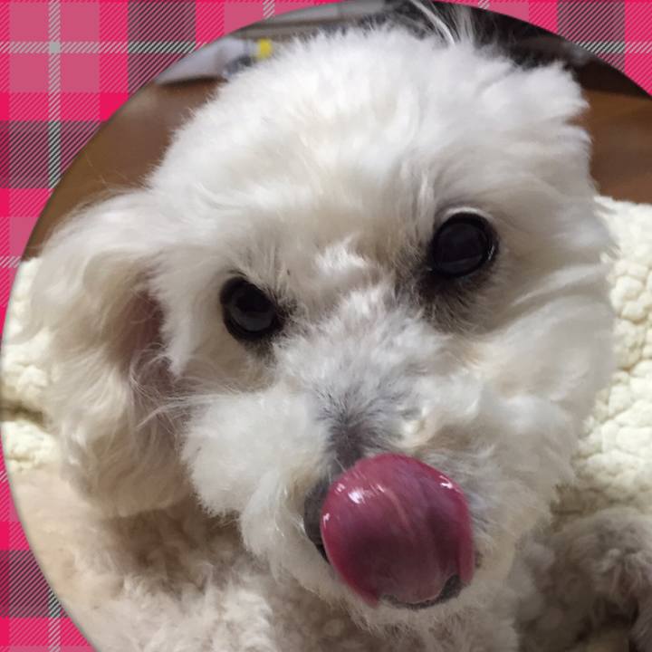 3e1ac6af 1821 4c72 9f4e c85cf71e4b70