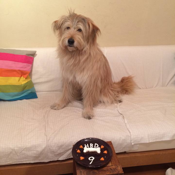 3e1accf0 75f6 41c0 ada0 a033eb6a9447