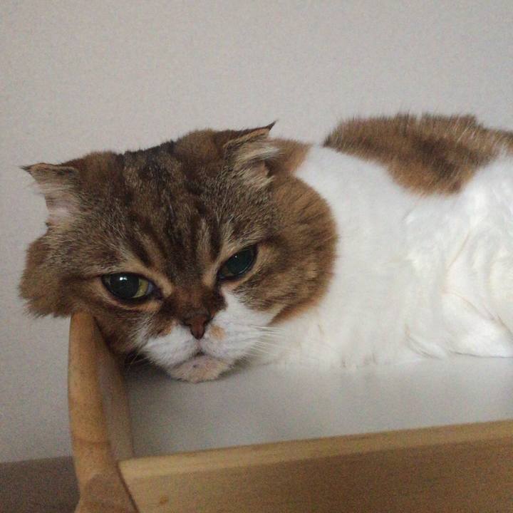 3e1af39d ed26 4d80 9466 ebb04a61f635