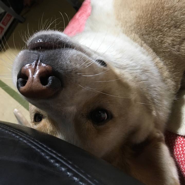 3e1b126a 11bb 451b 8347 a946b72dd83a