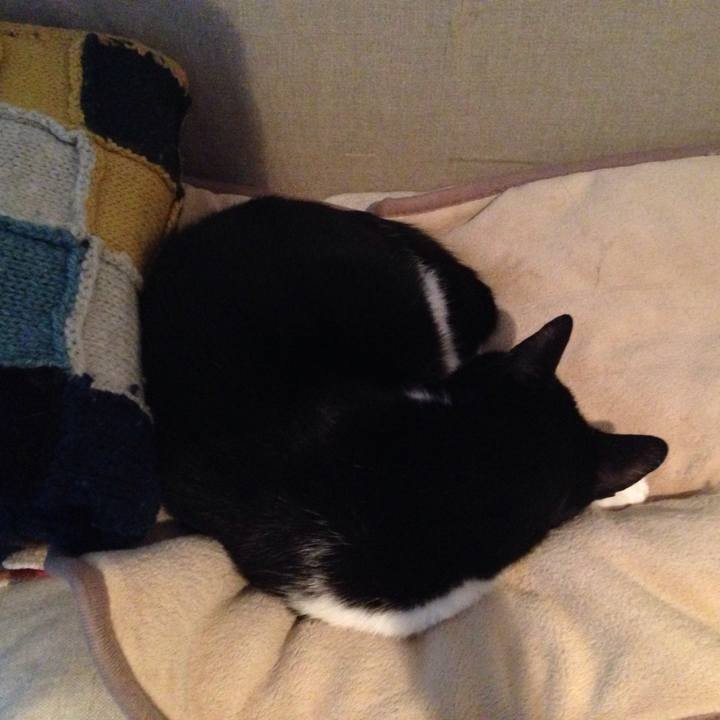 3e1b9368 69b2 45e1 bcef 254f7fc30f5e