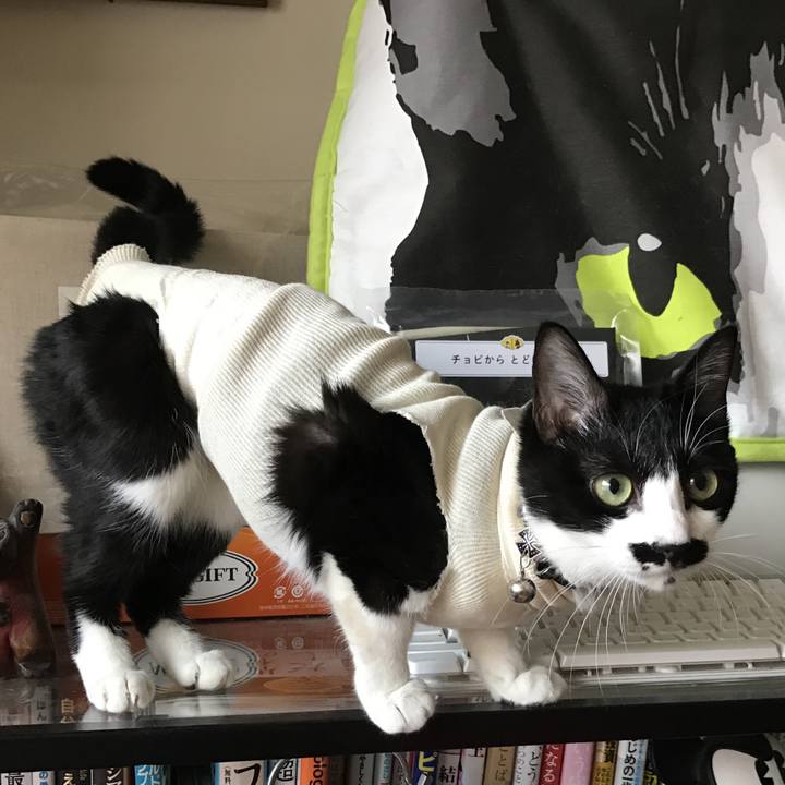 3e1cda97 9c12 42f6 b193 d72a4f284dfd