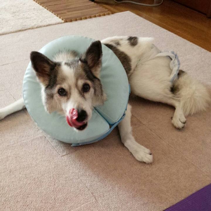 3e1ce4b1 f523 47ce 8b03 87c6223b17c7