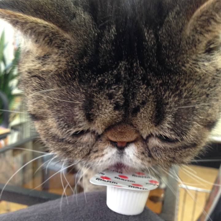 3e1d0e2f f8f4 475a a029 61ff9e8cf769