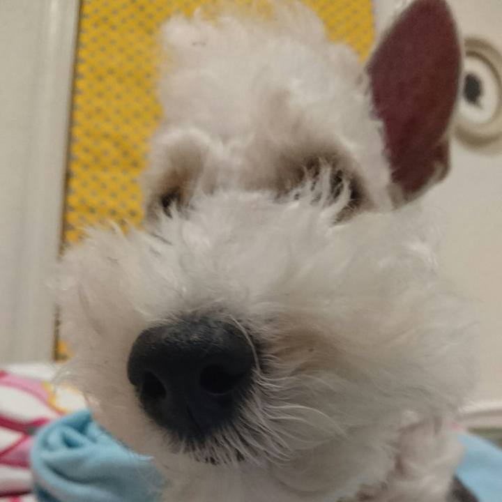 3e1dcbae c0ce 4e55 9a40 bb72086b2ca0