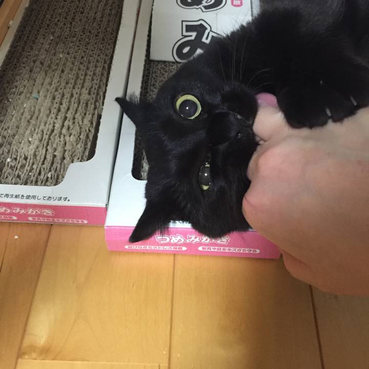 3e1e1665 6b82 4e2e a267 f487ea5c6513