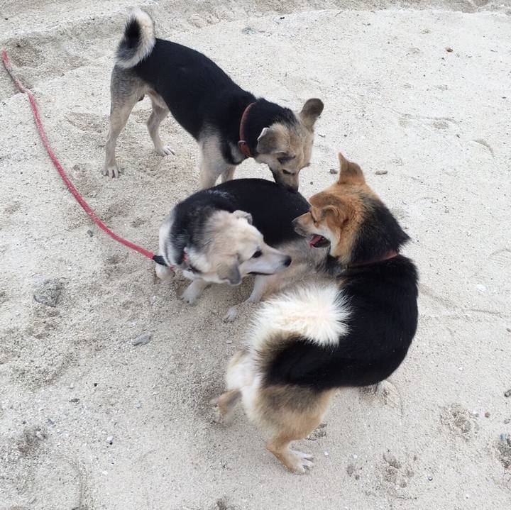 3e1e23d1 8155 45aa a48f 043a670e01c3