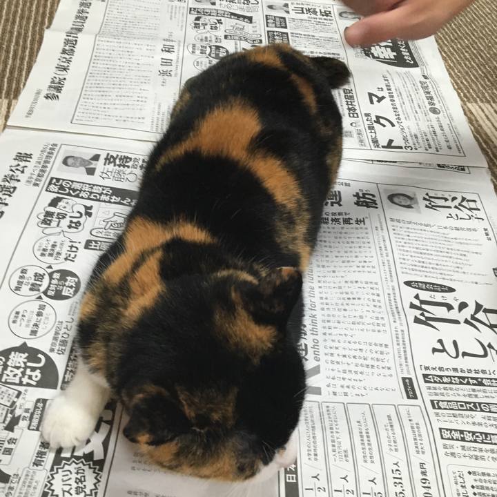 3e1e2612 6ac8 44ed 9056 6f86db2d62c6