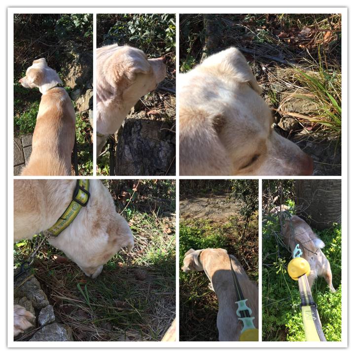 3e1e6fe6 74ff 4635 a596 2495c5680980