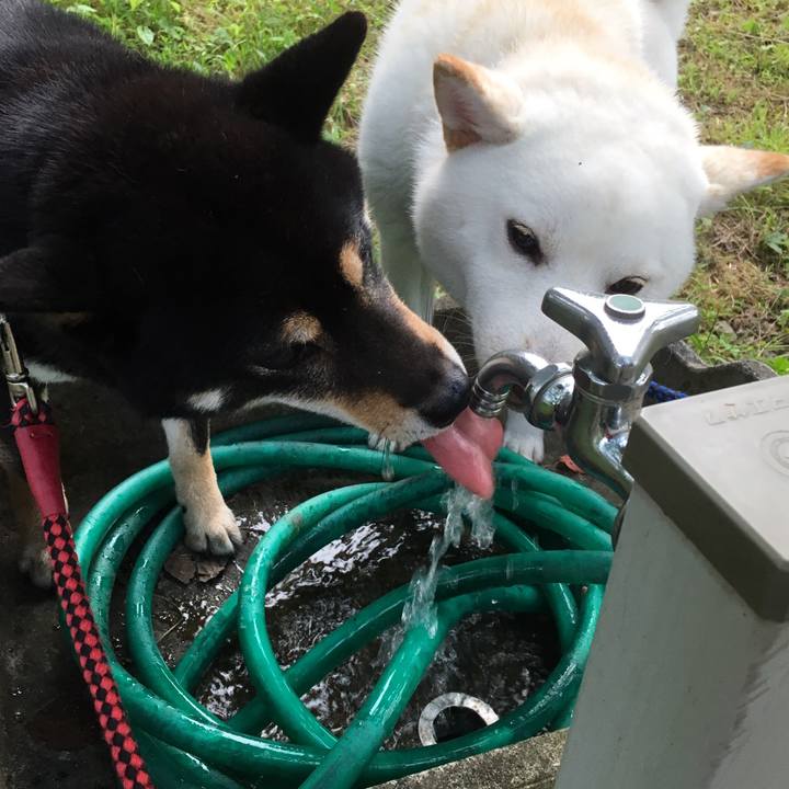 3e1e9dc1 7795 4431 8ccd 07a3980f12be