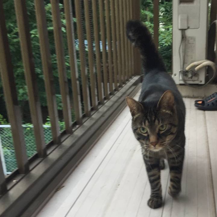 3e1ed85d 03e1 4d45 9694 4eceefd0efcb