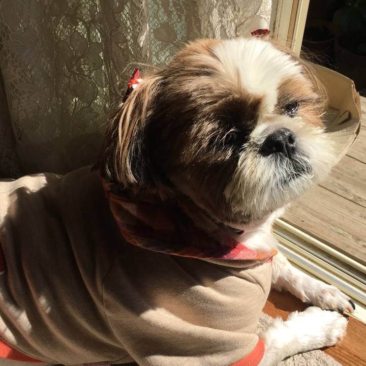 3e1f2203 8170 4939 95b0 36f9617ddcdf