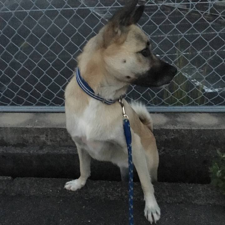 3e20040f 804e 40f9 b30a 4cb1def09323