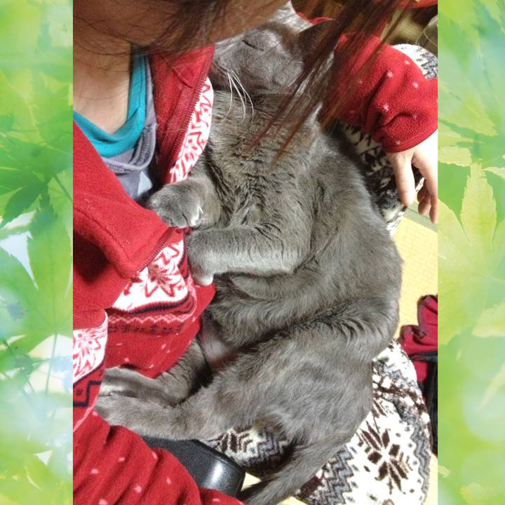 3e202d2c a343 4de0 9d7f aed03ef8ee02