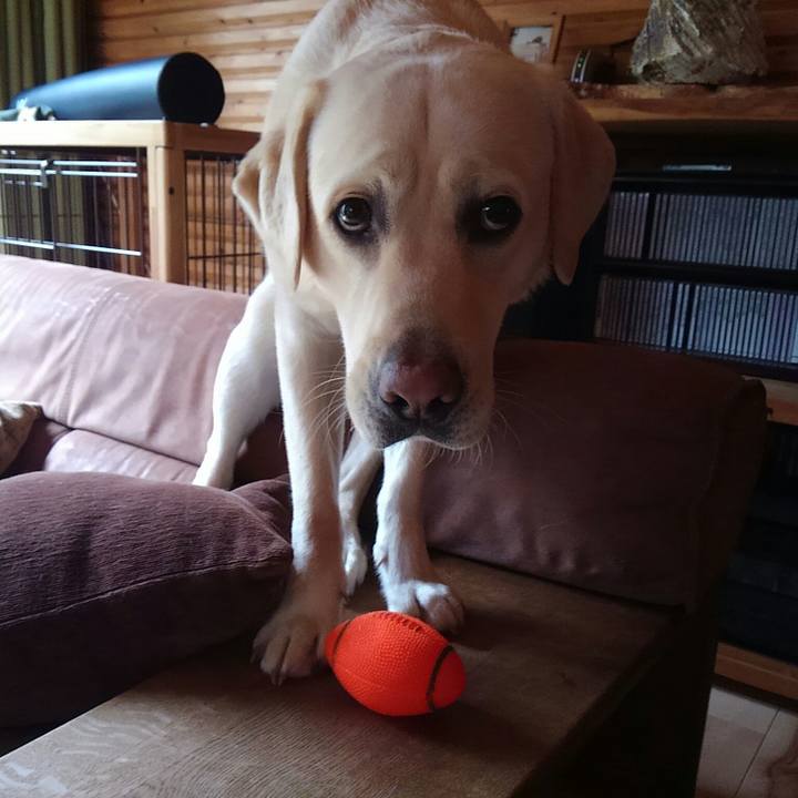 3e204400 3839 4fde b6ab cfdc0ae2639e