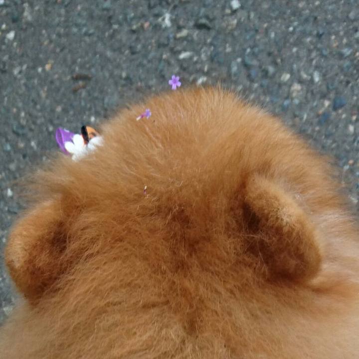 3e20d710 eec3 4f4b aeee 7bf758023784