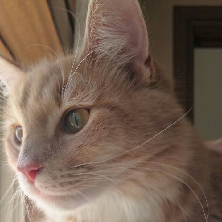 3e210294 caf1 4036 b1b7 3bee2ae119d6