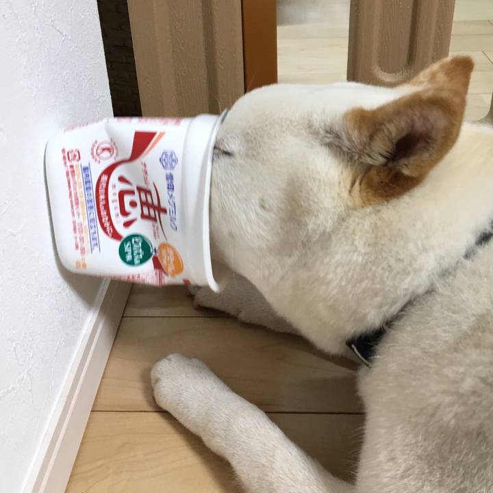 3e210788 6e71 4257 b76e 2e94e432e9c3