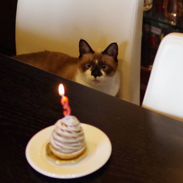 3e211ab8 d64a 4f0b 8c0b a2caeab8569e