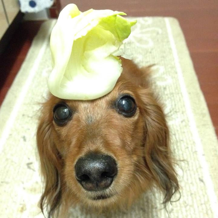 3e22e590 d94f 431d 8a70 f117bceee34e