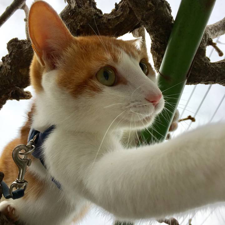 3e23700a 0614 41fa 9a80 38dcb720e9a3