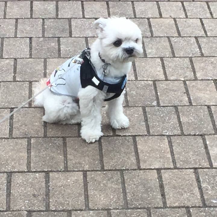 3e239553 5d52 4431 8cd1 ae56e016f031