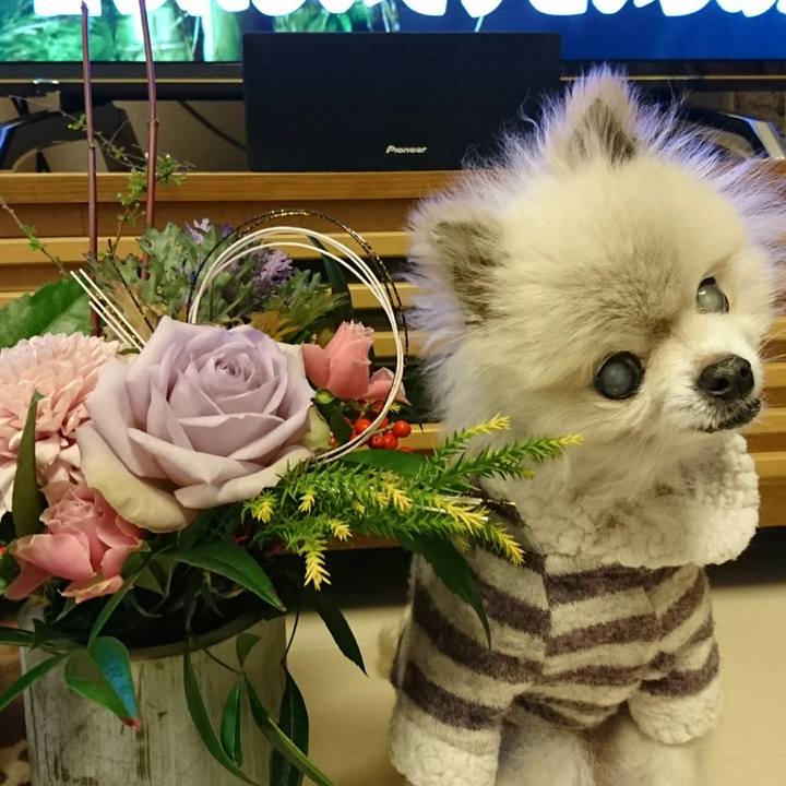 3e2417de a46b 4989 bdf8 75a2021fb01d