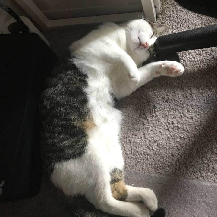 3e246eaf 4ee2 48aa aeae 60dd421983bb