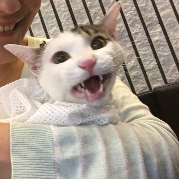 3e24f091 ce27 414b b2af 573f1c120014