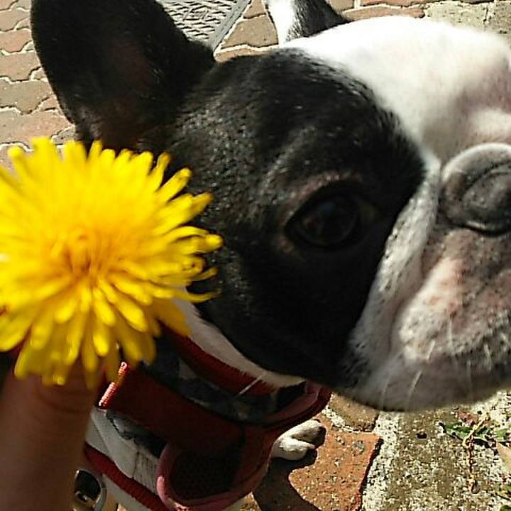 3e2504d5 95e8 4378 941d 189e09cbde5e