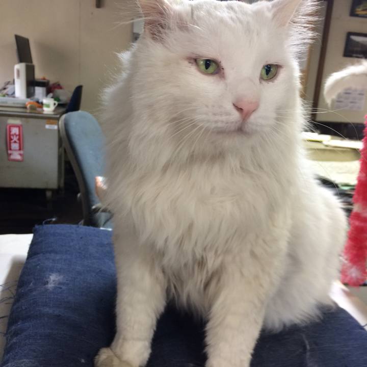 3e251e9c b82e 4859 9bec f6c028ca4ee8