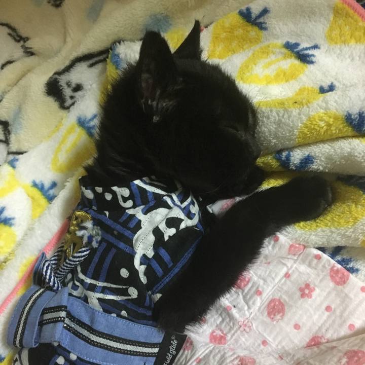 3e2535ea 4cd3 48e3 991f 72cc94eb64b8