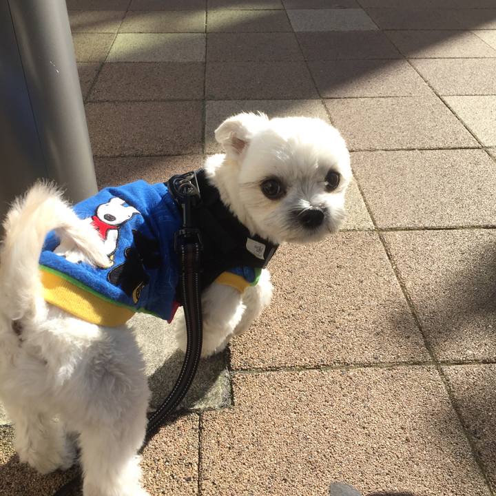 3e25daeb 7bde 40a8 8d7c 2ff4e4e516ad