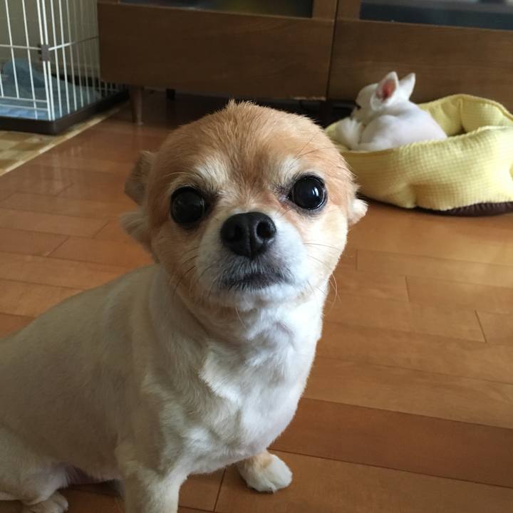 3e26100a 261a 4169 98f6 3802099bc736