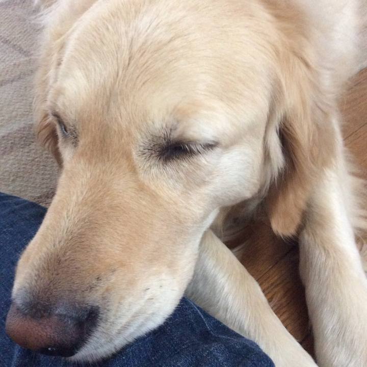 3e262687 d735 4642 a4e8 5762813c5c73