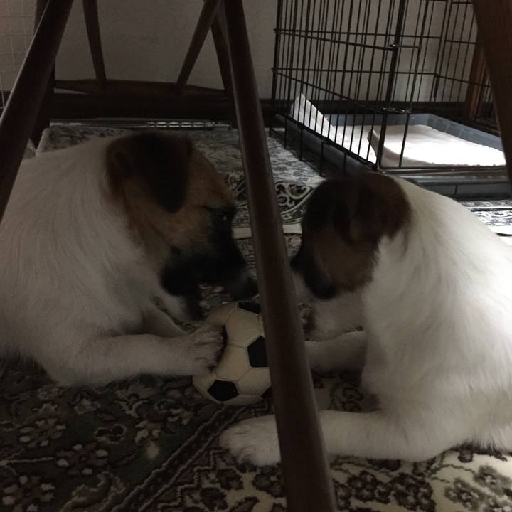 3e2645fa 67a3 4378 b491 e25b34d5a0d1