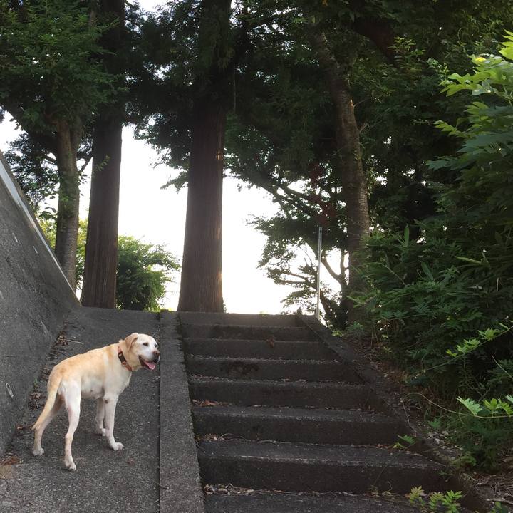 3e2676e7 48f2 4eae ae32 ce18e00207ff